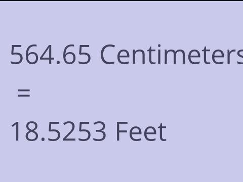 564.65 CM TO FEET