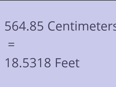 564.85 CM TO FEET