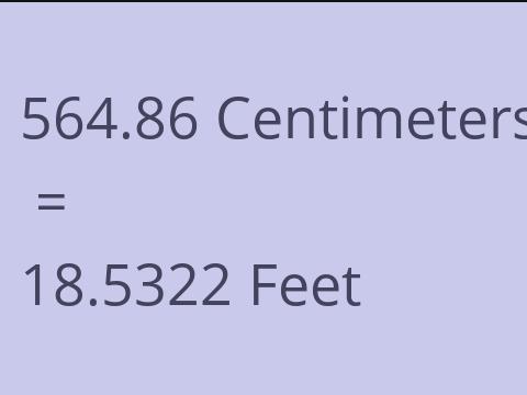 564.86 CM TO FEET