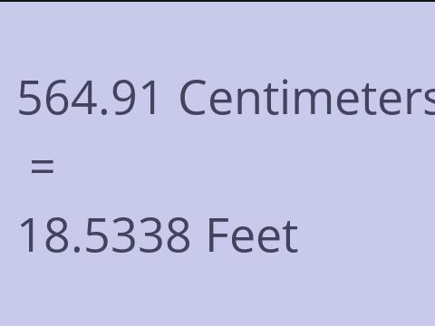 564.91 CM TO FEET