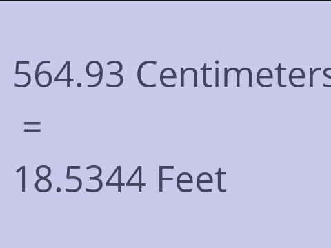 564.93 CM TO FEET