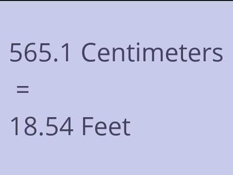 565.1 CM TO FEET