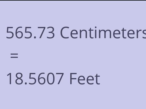 565.73 CM TO FEET