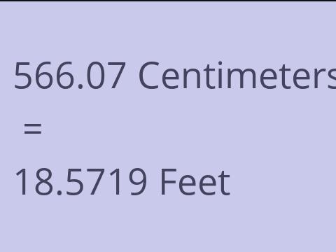 566.07 CM TO FEET