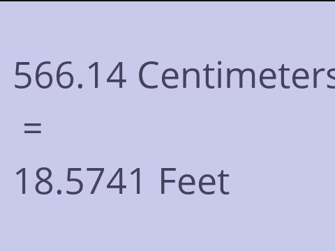 566.14 CM TO FEET