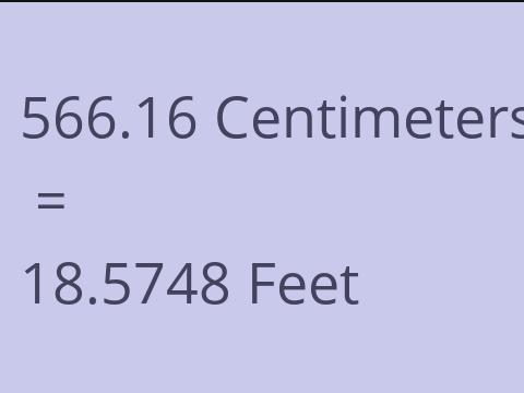 566.16 CM TO FEET