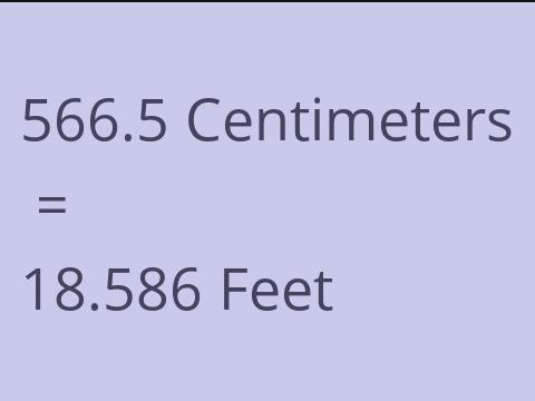 566.5 CM TO FEET