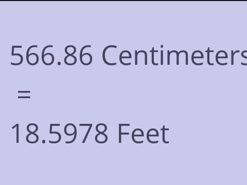 566.86 CM TO FEET