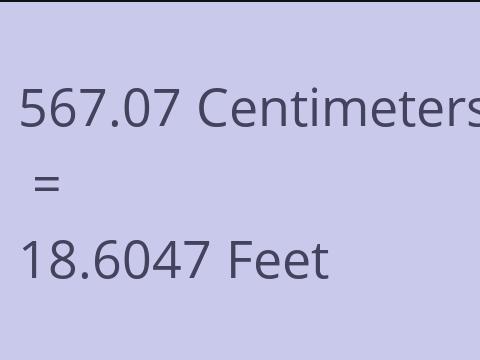 567.07 CM TO FEET