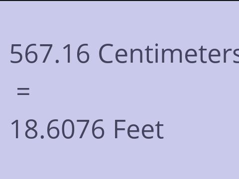 567.16 CM TO FEET