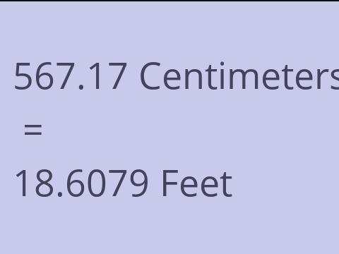 567.17 CM TO FEET