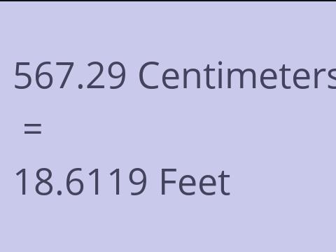 567.29 CM TO FEET