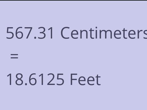 567.31 CM TO FEET