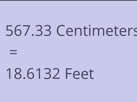 567.33 CM TO FEET