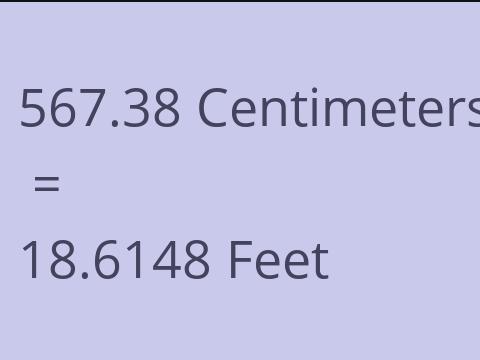 567.38 CM TO FEET