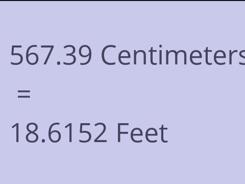 567.39 CM TO FEET