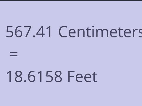 567.41 CM TO FEET