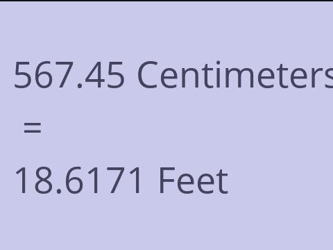 567.45 CM TO FEET