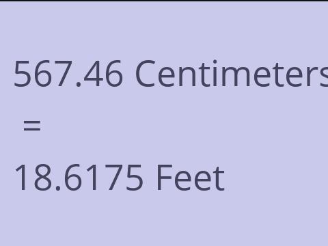 567.46 CM TO FEET