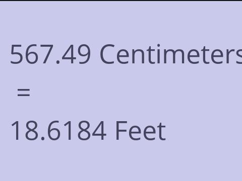 567.49 CM TO FEET