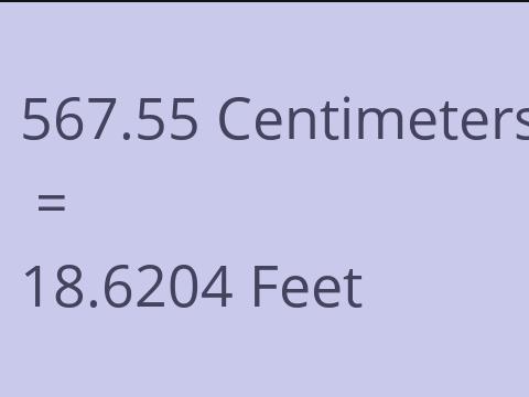 567.55 CM TO FEET