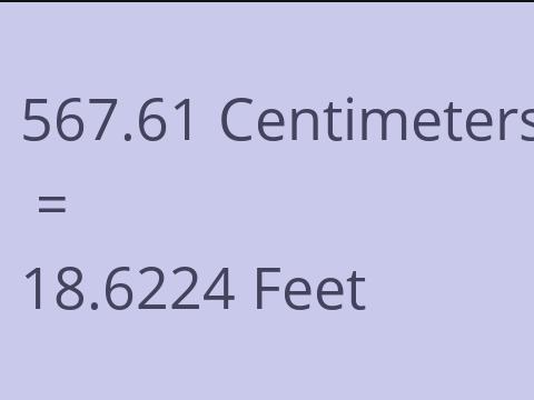 567.61 CM TO FEET