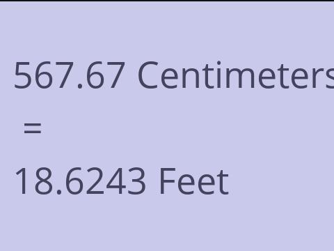 567.67 CM TO FEET