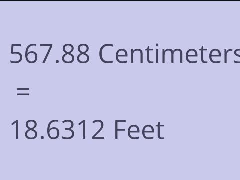 567.88 CM TO FEET