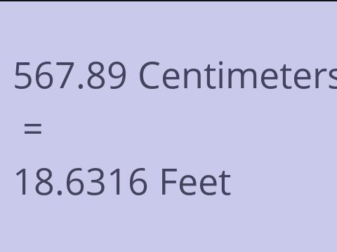 567.89 CM TO FEET