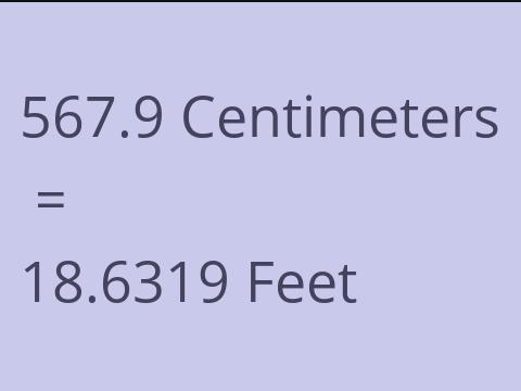 567.9 CM TO FEET