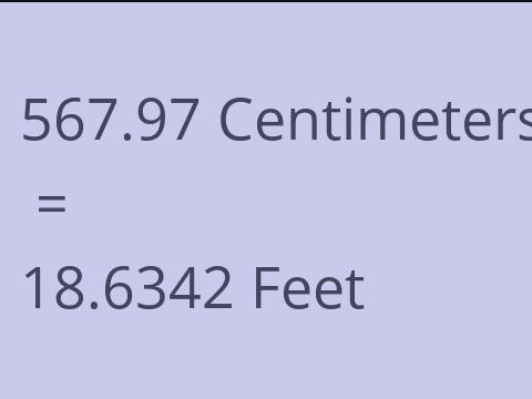 567.97 CM TO FEET