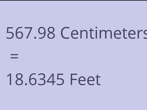 567.98 CM TO FEET