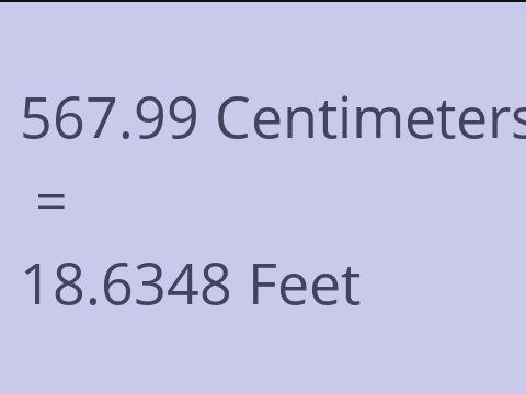 567.99 CM TO FEET