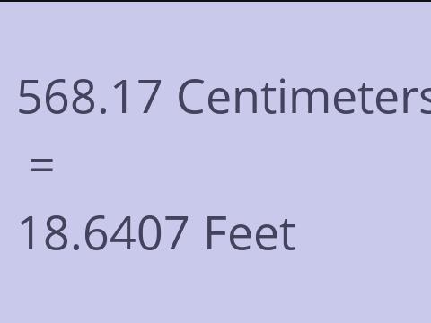 568.17 CM TO FEET