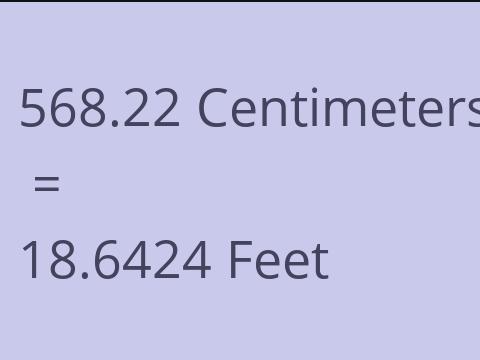 568.22 CM TO FEET