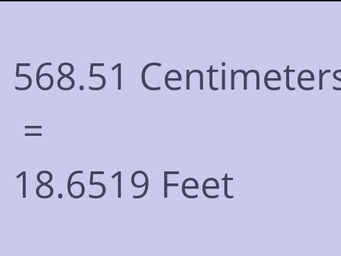 568.51 CM TO FEET