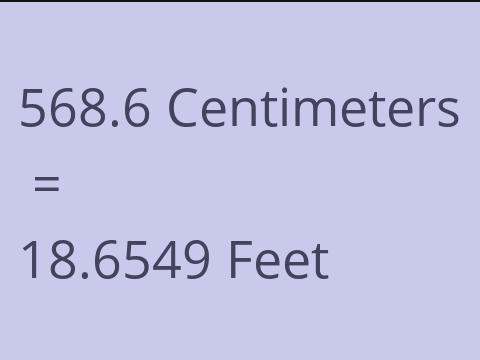 568.6 CM TO FEET