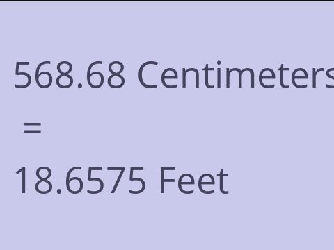 568.68 CM TO FEET