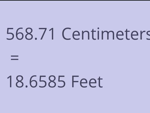 568.71 CM TO FEET