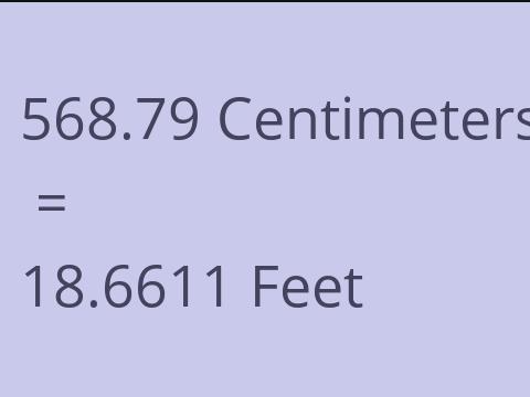 568.79 CM TO FEET