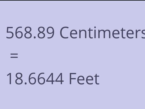 568.89 CM TO FEET