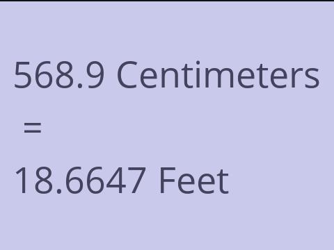 568.9 CM TO FEET