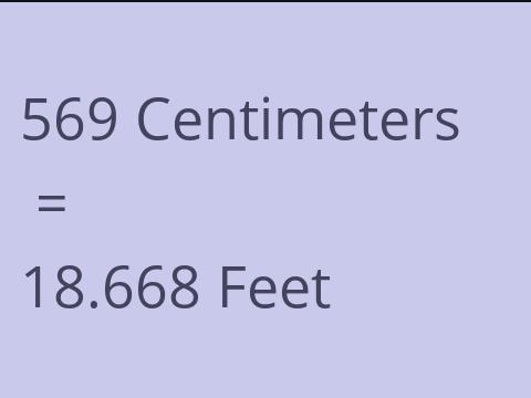 569 CM TO FEET