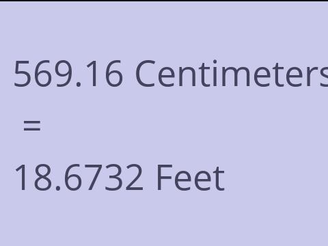 569.16 CM TO FEET