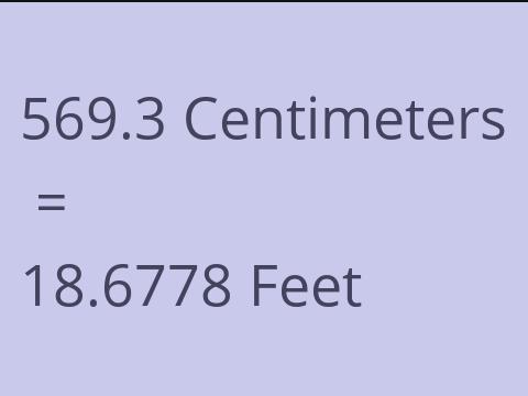 569.3 CM TO FEET