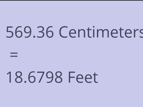 569.36 CM TO FEET