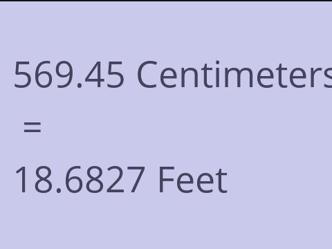 569.45 CM TO FEET