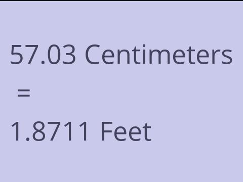 57.03 CM TO FEET