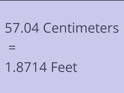 57.04 CM TO FEET