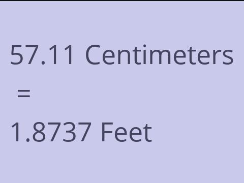 57.11 CM TO FEET